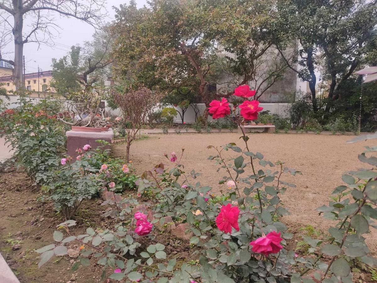 Vatika Homestay Varanasi Exteriör bild