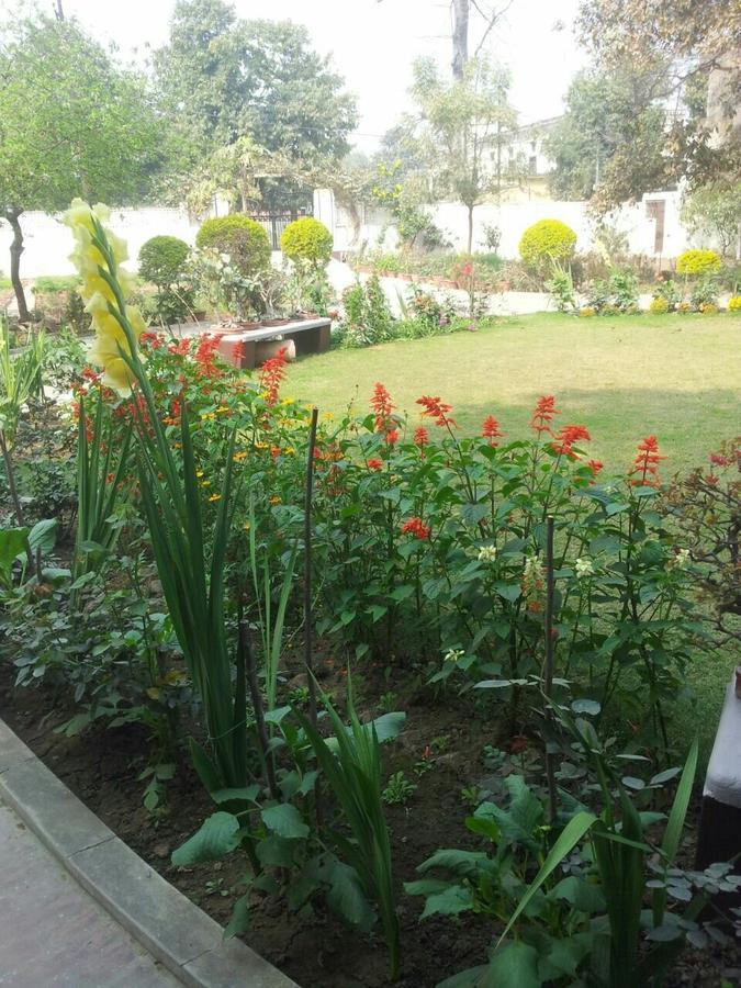 Vatika Homestay Varanasi Exteriör bild