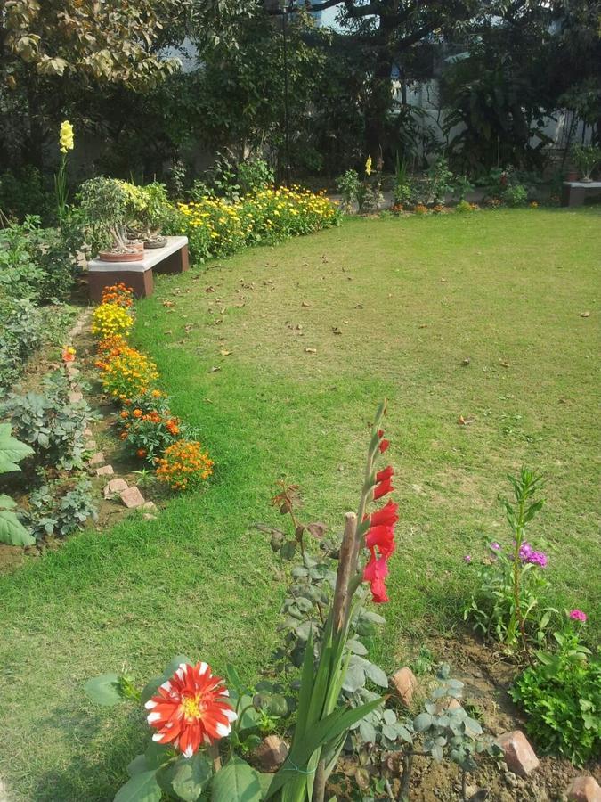 Vatika Homestay Varanasi Exteriör bild